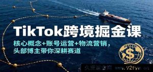 TikTok跨境赚钱秘籍，核心要点+账号实操+物流推广，头部达人领你深挖商机-每日必学网