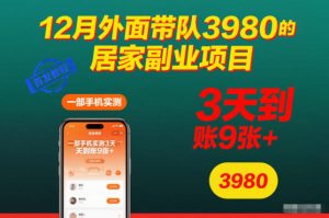 12月外面带队3980的居家副业项目，一部手机实测3天到账9张+，首发教程【揭秘】-每日必学网
