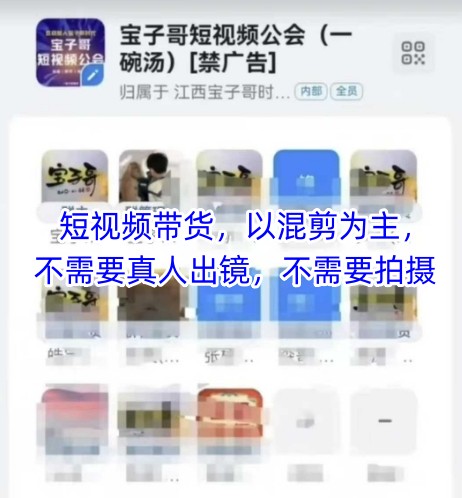 宝子哥头部团队短视频带货，以混剪为主，不需要真人出镜，不需要拍摄【更新11月】-每日必学网