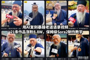 用AI复刻暴躁老道语录视频，21条作品涨粉8.8W，保姆级Sora2制作教学-每日必学网