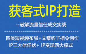 获客型IP打造，破解流量信任成，四类短视频布局+文案钩子指令创作IP三大信任状+IP变现四大模式-每日必学网
