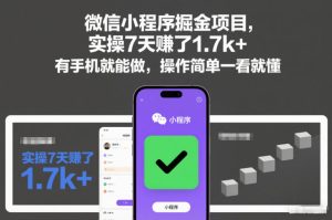 微信小程序掘金项目，实操7天賺了1.7k+，有手机就能做，操作简单一看就懂【揭秘】-每日必学网