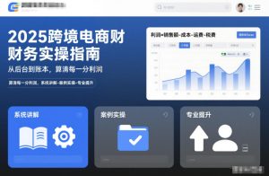 2025跨境电商财务实操指南，从后台到账本，算清每一分利润，系统讲解-案例实操-专业提升-每日必学网
