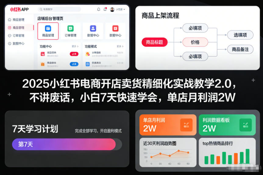 2025小红书电商开店卖货精细化实战教学2.0，不讲废话，小白7天快速学会，单店月利润2W-每日必学网