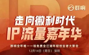 2025ip嘉年华万人12月14深圳线下课，走向微利时代，IP流量嘉年华，实操性极强的商业干货课-每日必学网