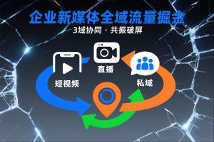 短视频全域商业模式，企业新媒体全域流量掘金，3域协同，共振破屏，短视频-直播-私域-地域-每日必学网