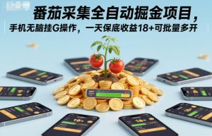 番茄采集全自动掘金项目，手机无脑挂G操作，一天保底收益18+可批量多开【揭秘】-每日必学网