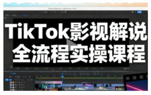 TikTok影视解说全流程实操，手把手教你打造TK爆款解说视频-每日必学网