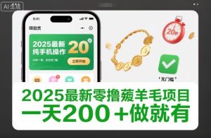 2025最新零撸薅羊毛项目，纯手机操作，20秒一单，无任何门槛，一天200+做就有【揭秘】-每日必学网
