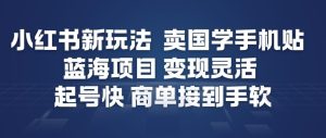 小红书新玩法，卖国学手机贴，蓝海项目，变现灵活，起号快，商单接到手软-每日必学网