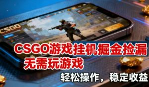 CSGO游戏挂G掘金捡漏，不需要玩游戏，操作简单，收益稳定【揭秘】-每日必学网