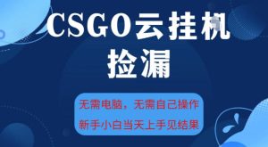 CSGO云挂G全自动捡漏，最新独家玩法，无需电脑操作，新手小白日入5张+【揭秘】-每日必学网
