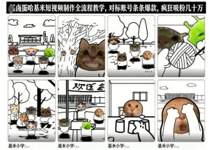 卤蛋哈基米短视频制作全流程教学，条条爆款，疯狂吸粉几十万-每日必学网