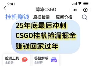 12月年底抓紧最后一个月,用CSGO游戏挂G捡漏掘金賺钱掘金,一部手机轻松日入5张+【揭秘】-每日必学网