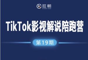 盗坤-第十九期TikTok影视解说陪跑营2025年12月(价值4980元)_-每日必学网
