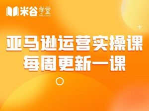 米谷学堂-亚马逊运营实操课2025年12月4日(价值2980元)_-每日必学网