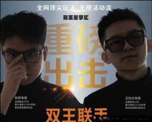 王校长标哥电商-11月28日拼多多无限活动流_-每日必学网