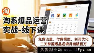 （16714期）淘系爆品运营实操线下课，揭秘免费流量玩法、付费模式与利润提升，三日精通爆品策略月销超百万-每日必学网