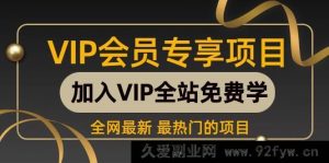 （16763期）无门槛玩转多多虚拟类目：机器人助力发货客服，轻松运营，月赚1 - 5W实操攻略-每日必学网