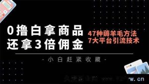 （16780期）零成本拿商品还赚3倍佣金，47种羊毛攻略，7大平台引流秘籍月入破万-每日必学网