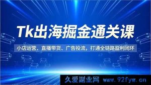 （16820期）Tk出海盈利秘籍，小店、直播、投流全链路运营课-每日必学网