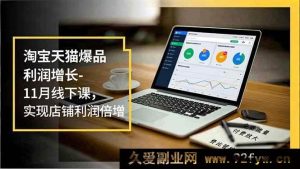 (16824期)11月线下课:淘宝天猫店铺利润飙升秘籍,免费付费流量双管齐下-每日必学网