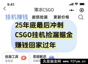 CSGO手游挂机躺赚日入500+超简教程-每日必学网