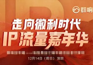 群响陈晶天诺老吴-2025ip嘉年华万人12月14日深圳线下课14节完整_-每日必学网