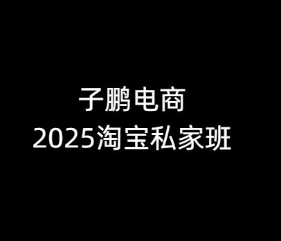 子鹏讲电商-淘宝私家班25年12月(价值4980元)_-每日必学网