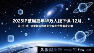 2025IP破局嘉年华万人线下课12月：全新IP打造与变现流量矩阵方案（16885期）-每日必学网