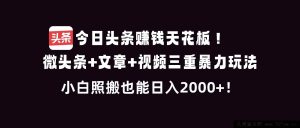 (16888期)抖音新赛道掘金:短视频带货+直播种草+图文引流,新手轻松日入3000+-每日必学网