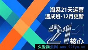 （16903期）淘系21天爆单运营特训营：12月升级，速学核心盈利技能-每日必学网