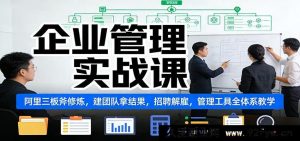 企业管理进阶课：全方位打造高效团队，解锁阿里式管理精髓与工具，精准招聘解雇-每日必学网