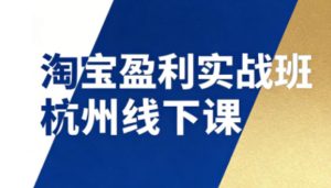 淘宝盈利实战班杭州线下课12月26-28日（音频+字幕），帮你掌握SOP流程+12门核心技术-每日必学网