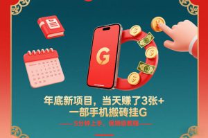 年底新项目，当天賺了3张+，一部手机搬砖挂G，5分钟上手，保姆级教程【揭秘】-每日必学网