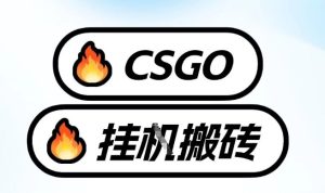 真全网独家CSGO挂G，最新玩法,单日捡漏1K+，不用电脑，不用打游戏【揭秘】-每日必学网