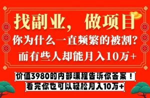 价值3980的网创内部课程，告诉你互联网创业月入10个W的秘密【揭秘】-每日必学网