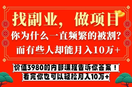 价值3980的网创内部课程，告诉你互联网创业月入10个W的秘密【揭秘】-每日必学网