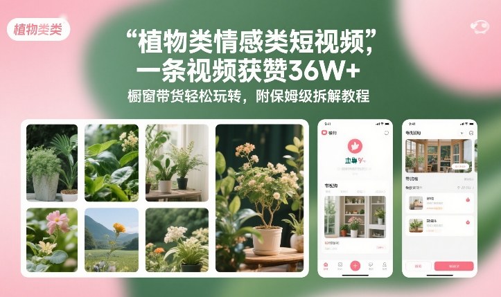 植物类情感类短视频，一条视频获赞36W+，橱窗带货轻松玩转，附保姆级拆解教程-每日必学网