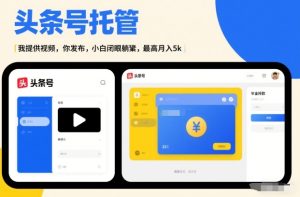 头条号AI托管，我提供视频，你发布，小白闭眼躺賺，最高月入5k+【揭秘】-每日必学网