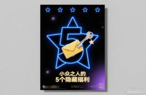 付费文章：小众之人的5个隐藏福利-每日必学网