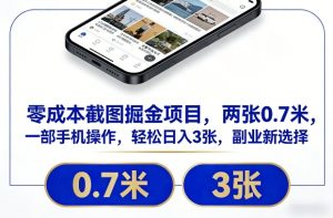 零成本截图掘金项目，两张0.7米，一部手机操作，轻松日入3张，副业新选择【揭秘】-每日必学网
