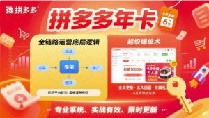 拼多多年卡，拼多多全链路运营底层逻辑，超级爆单术【更新26年1月】-每日必学网