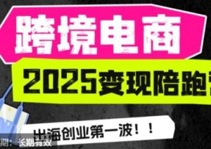 职场B计划阿耀-打爆TiktoK-2025变现陪跑营(价值9800元)_-每日必学网