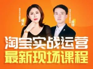 推易电商-淘宝实战2025年12月3日-5日线下课完整版34节(价值7580元)_-每日必学网