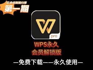 WPS永久会员解锁版最新版，所有VIP功能全部免费使用！-每日必学网