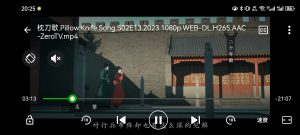 XPlayer 解锁会员去广告版最新版 HD硬解高清4K 安卓手机电视NAS看本地视频必备-每日必学网