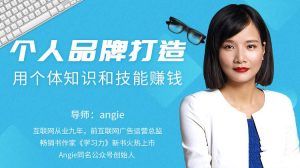 知识变现时代的个体崛起术,个人品牌打造-每日必学网
