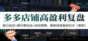 拼多多店铺高利润实战：新店爆发+微付费玩法+大促活动策划，解锁2024年持续盈利标准化流程（升级版）-每日必学网