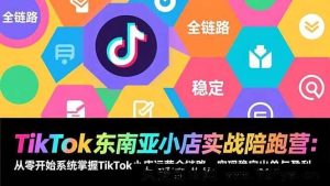 (17037期)TikTok东南亚小店爆单落地营:从0搭建到稳定盈利的全链路实操课-每日必学网